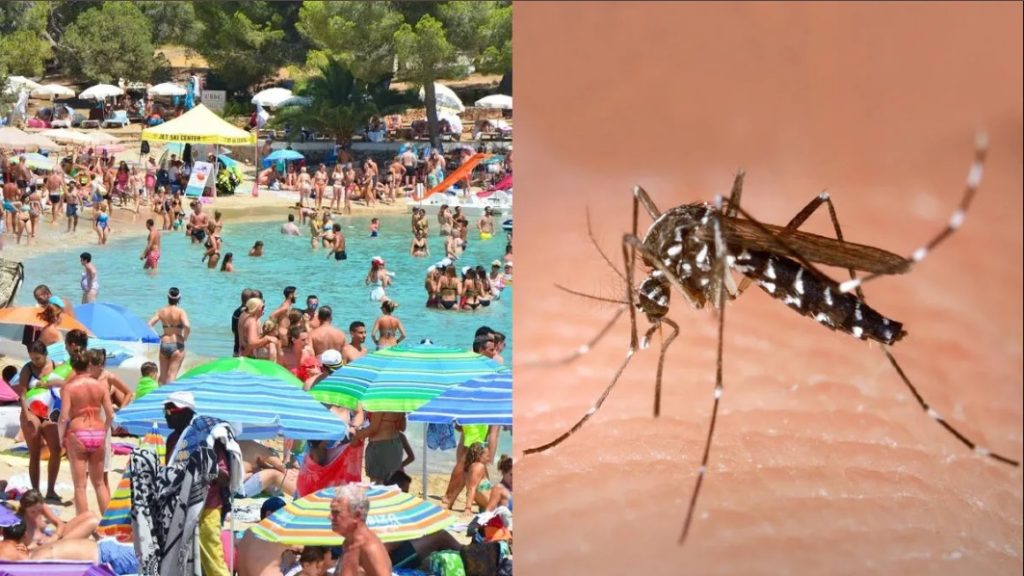 En plena temporada: qué medidas preventivas hay en la costa para evitar aumentos de casos de dengue